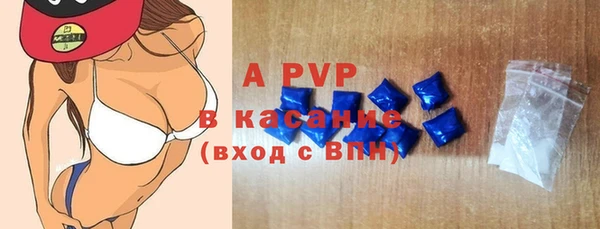крисы Касимов