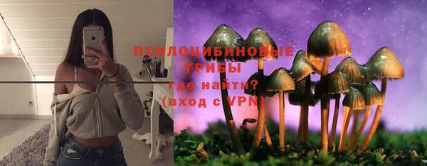 крисы Касимов
