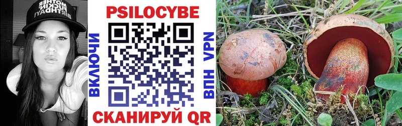 Псилоцибиновые грибы Cubensis  Купить где  Вилюйск 
